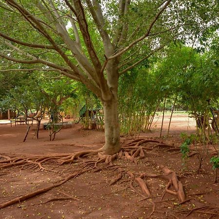 Our Native Village Bangalore Exterior foto