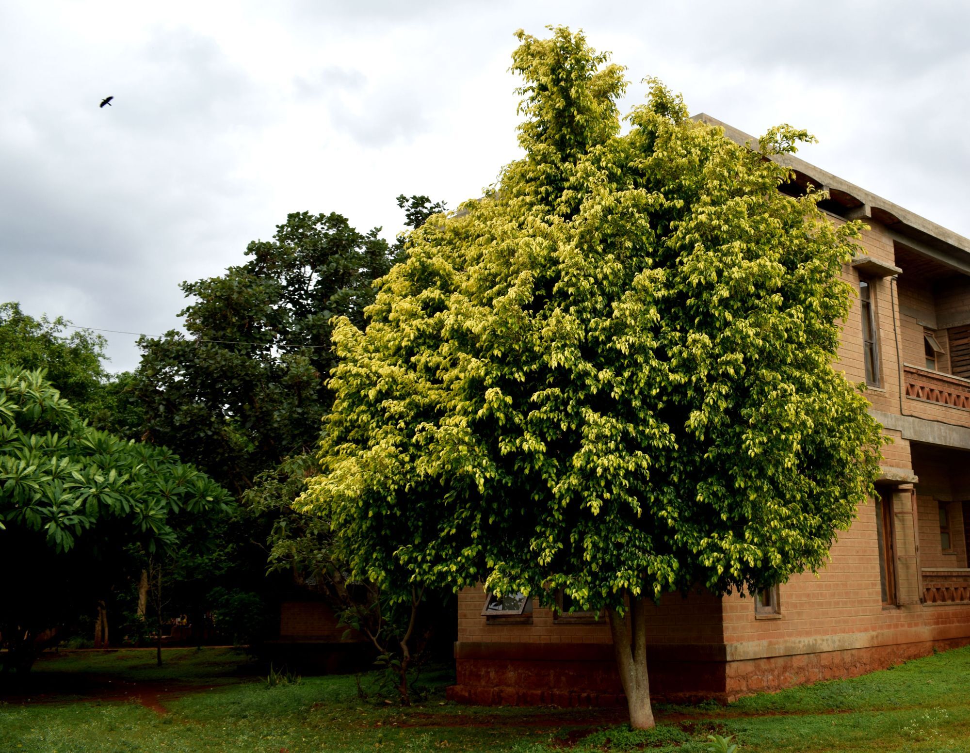 Our Native Village Bangalore Exterior foto