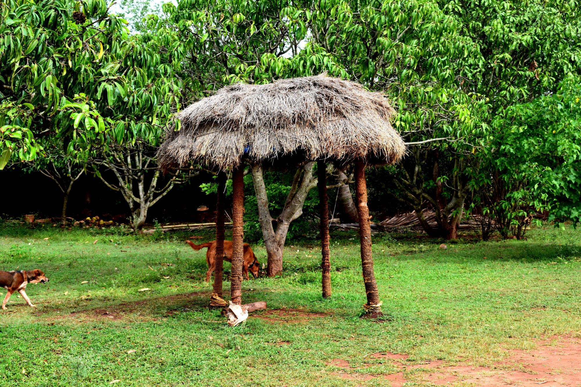 Our Native Village Bangalore Exterior foto